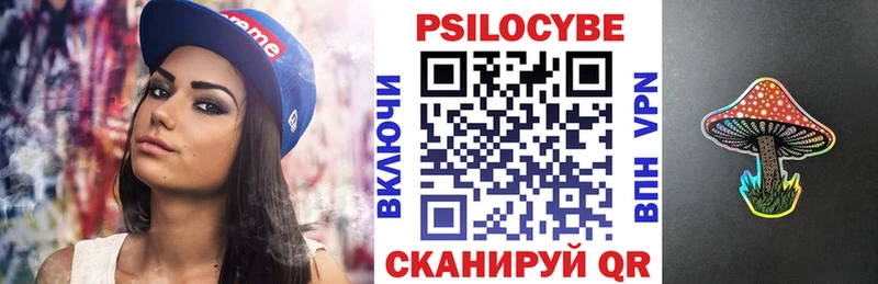 что такое   Владимир  Псилоцибиновые грибы прущие грибы 